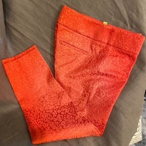 Ann Taylor Orange Cheetah print pants